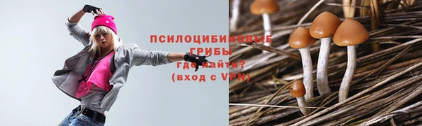 прущие крисы Кукмор