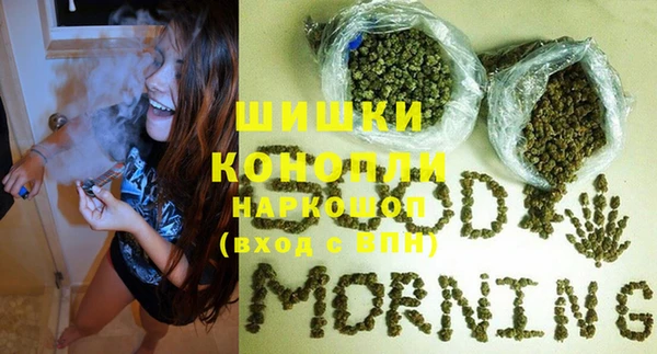 соль ск Кулебаки