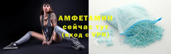 соль ск Кулебаки