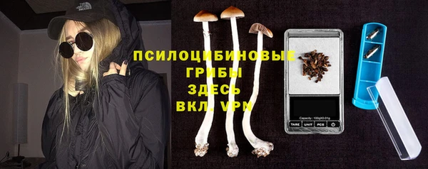 прущие крисы Кукмор